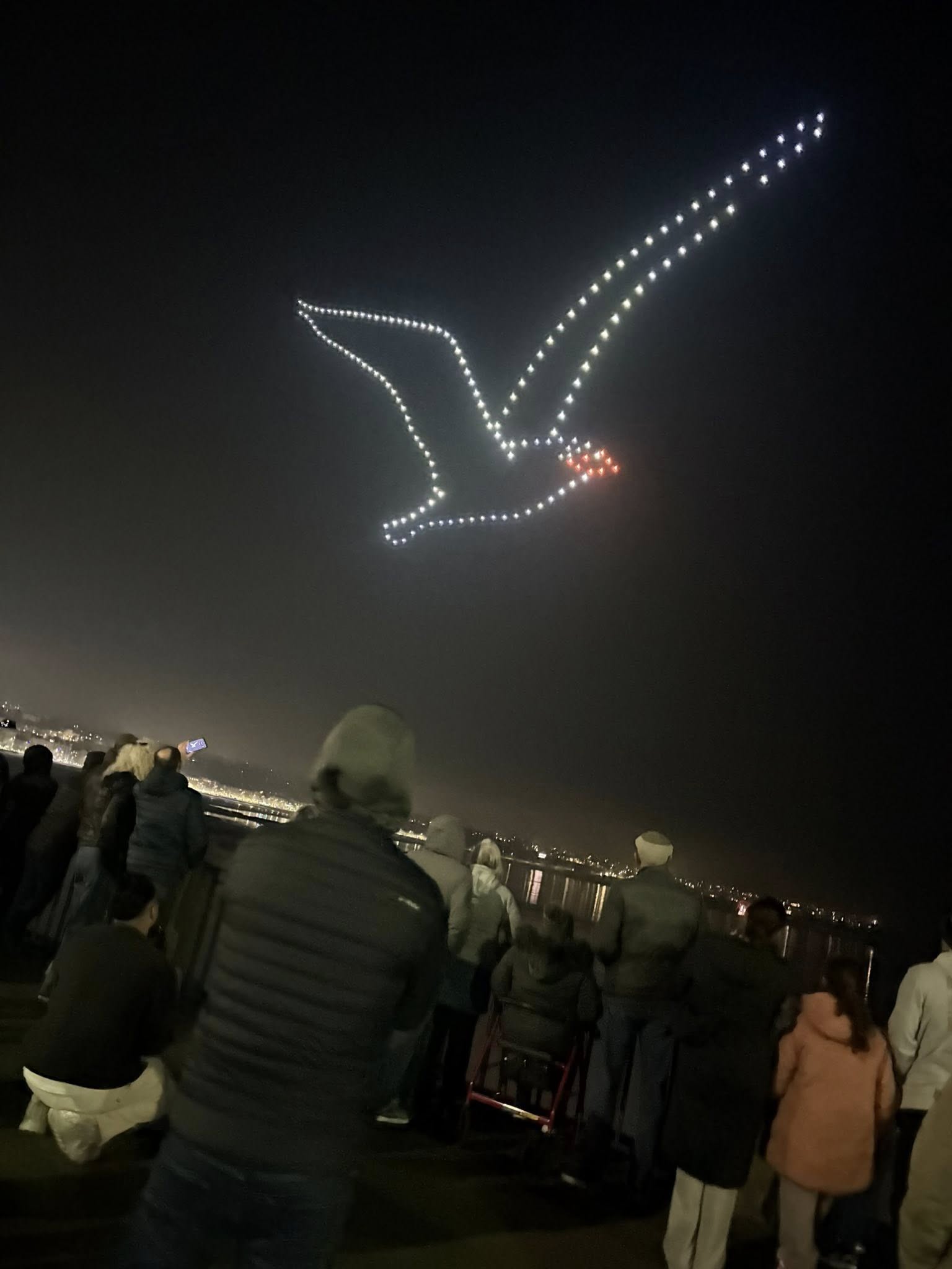 Why Choose Star Symphony Drone Shows?